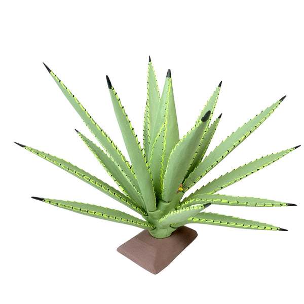 Gabino Reyes: Our Lady Of Guadalupe Cactus