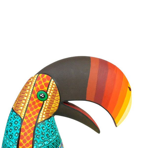 Gaspar Calvo: Contemporary Toucan Woodcarving