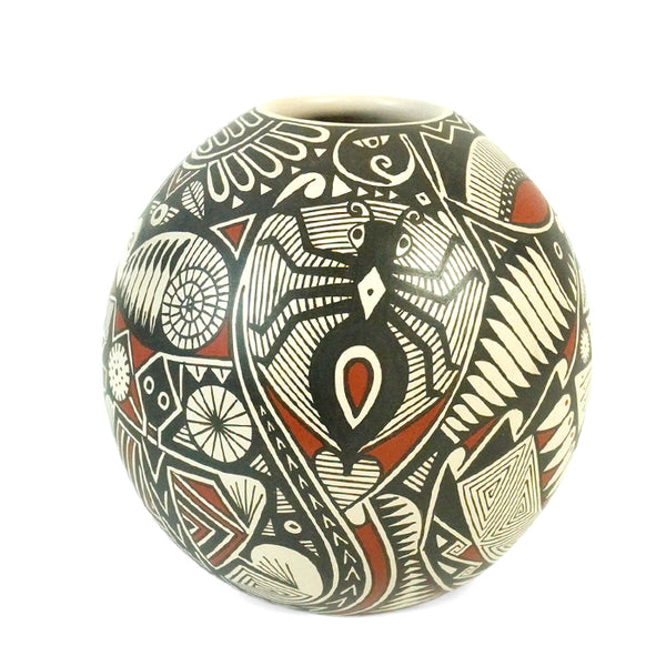 Goyin Silveira: Hidden Animals Mata Ortiz