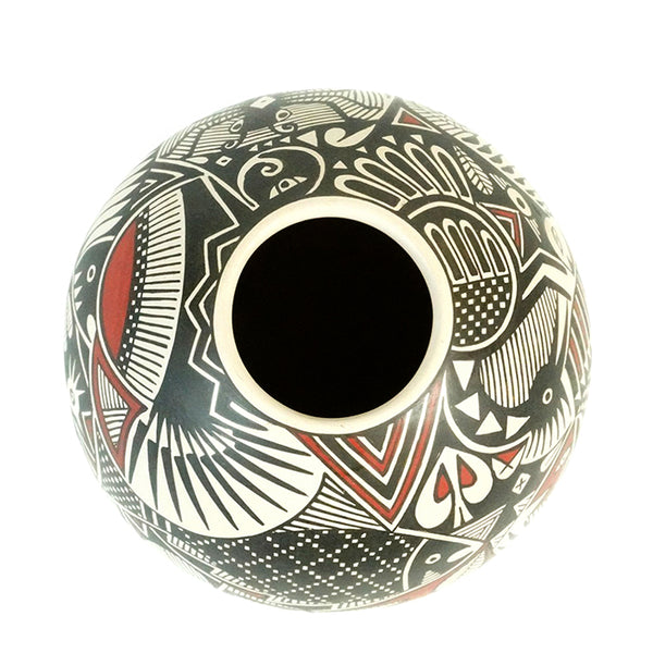 Goyin Silveira: Hidden Animals Mata Ortiz