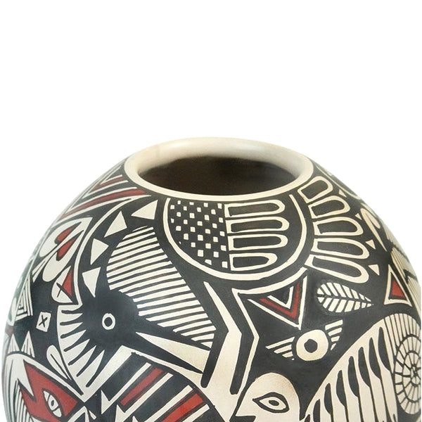 Goyin Silveira: Hidden Animals Mata Ortiz