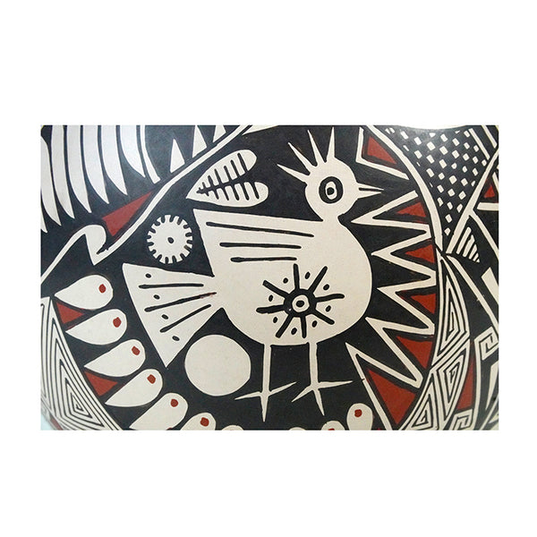 Goyin Silveira: Hidden Animals Mata Ortiz