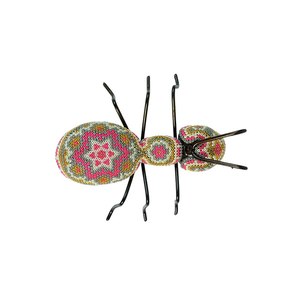 Huichol: Ant Huichol