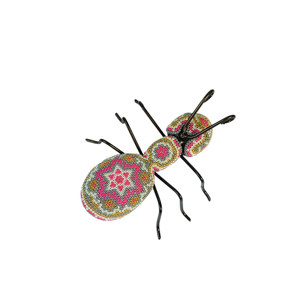 Huichol: Ant Huichol
