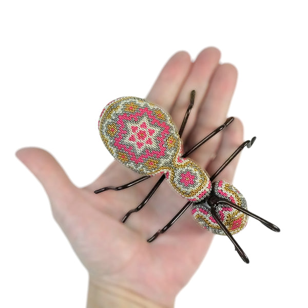 Huichol: Ant Huichol