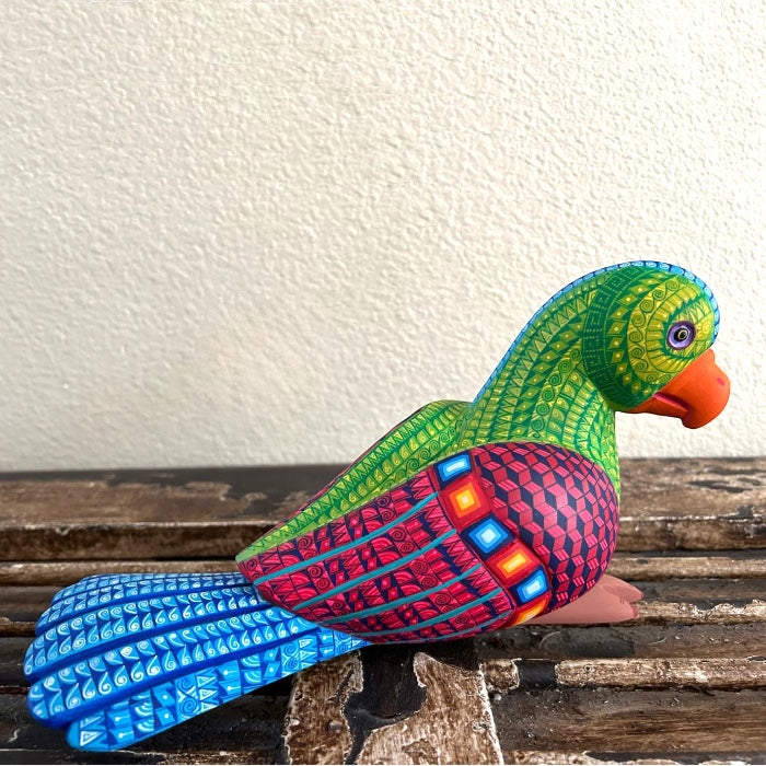 Saul Aragon: Rainforest Parrot Woodcarving