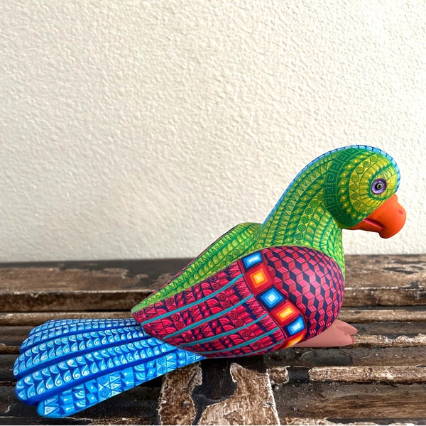 Saul Aragon: Rainforest Parrot Woodcarving