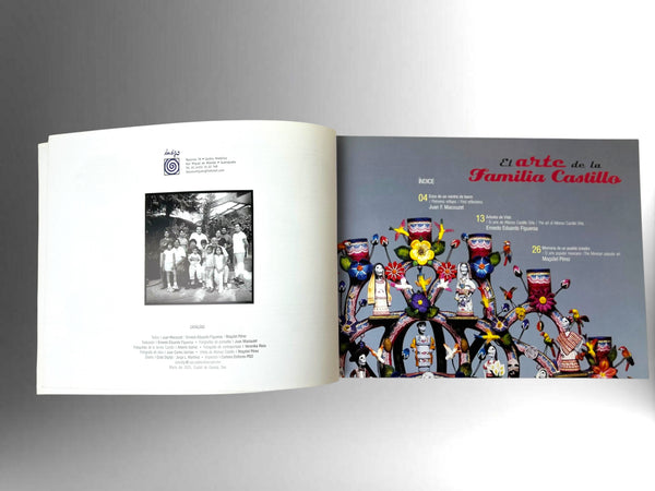 The Art of the Castillo Family Bilingual Edition