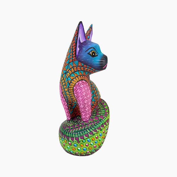 Javier Ramirez: Little Cat Oaxaca