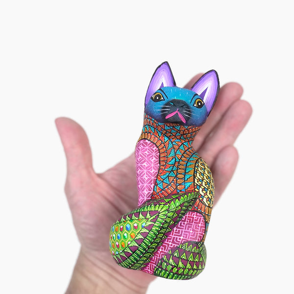 Javier Ramirez: Little Cat Oaxaca