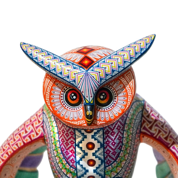 Jorge Vazquez: Guardian of the Night & the Earth Owl