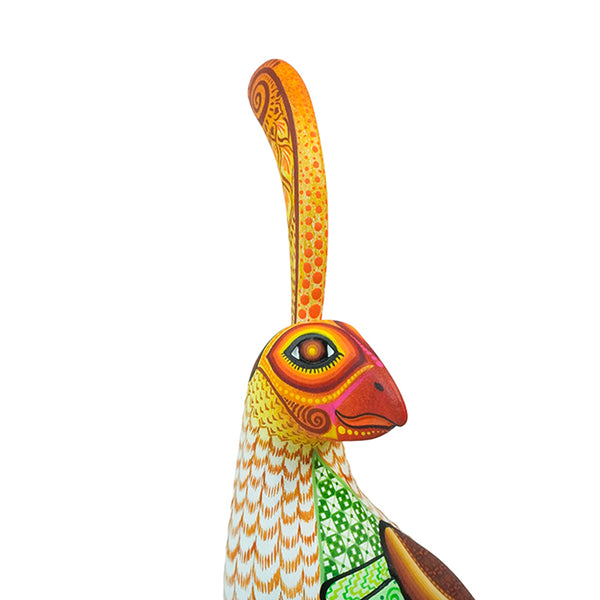 Julia Fuentes: Stunning Pheasant Woodcarving