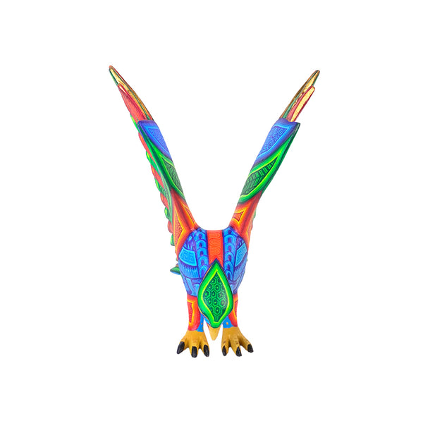 Luis Cruz: Beautiful Eagle Oaxaca