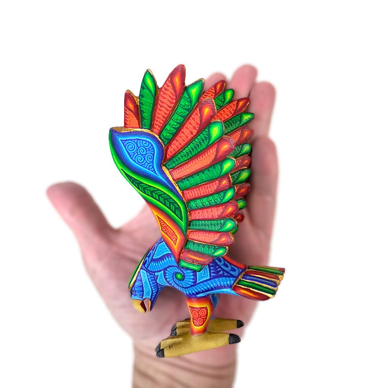 Luis Cruz: Beautiful Eagle Oaxaca