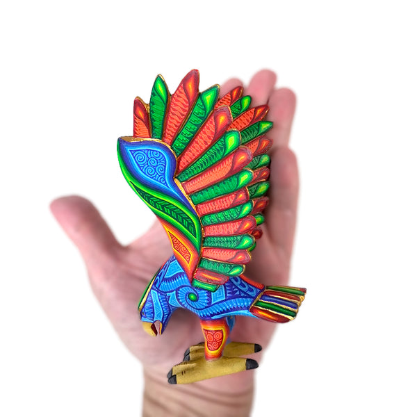 Luis Cruz: Beautiful Eagle Oaxaca