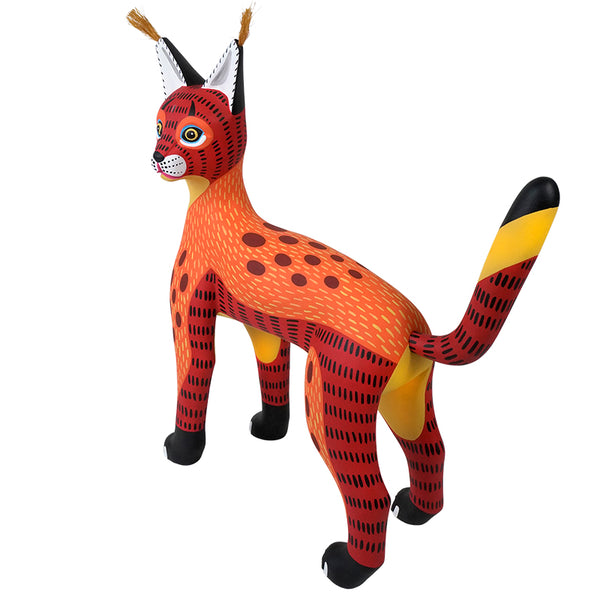 Luis Pablo: Fiery Caracal Oaxaca