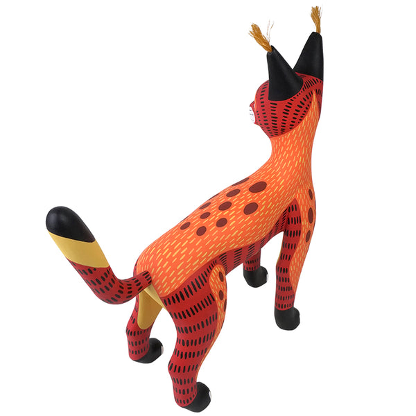 Luis Pablo: Fiery Caracal Oaxaca