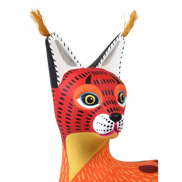 Luis Pablo: Fiery Caracal Oaxaca