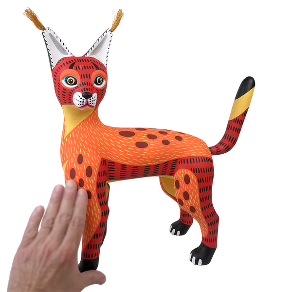 Luis Pablo: Fiery Caracal Oaxaca