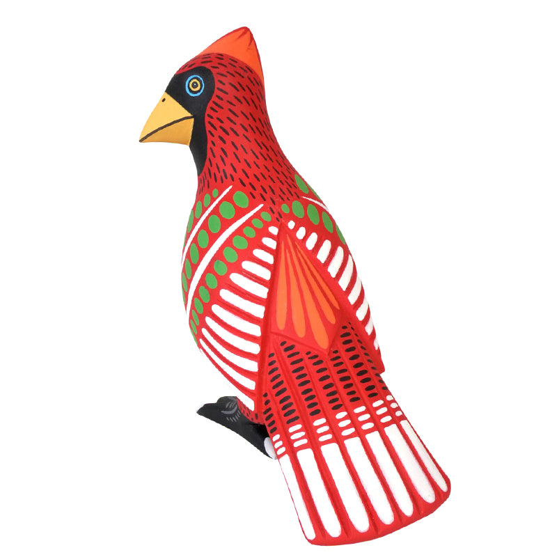 Luis Pablo: Crimson Cardinal on Watch