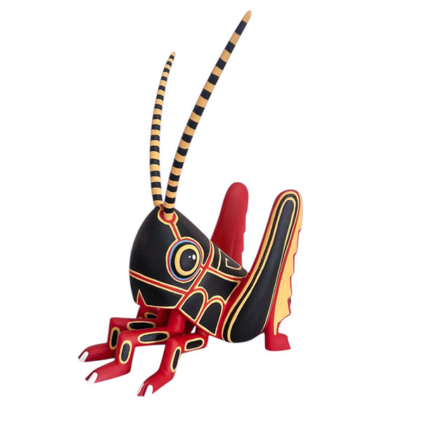 Luis Pablo: Chapulin Cricket Oaxaca