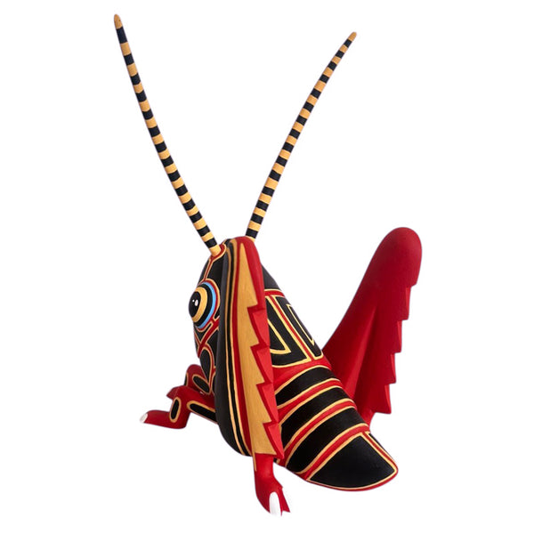 Luis Pablo: Chapulin Cricket Oaxaca