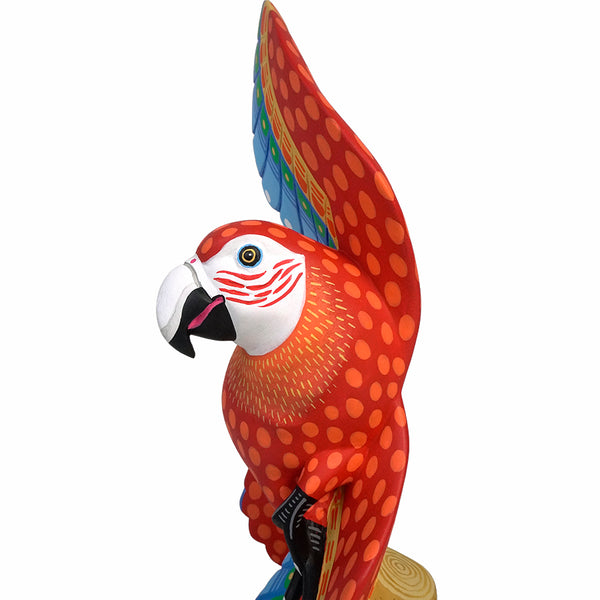 Luis Pablo: Alebrije Macaw Woodcarving