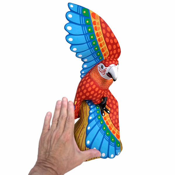 Luis Pablo: Alebrije Macaw Woodcarving