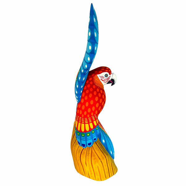 Luis Pablo: Spectacular Macaw Woodcarving