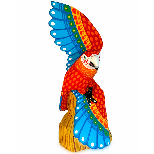 Luis Pablo: Spectacular Macaw Woodcarving