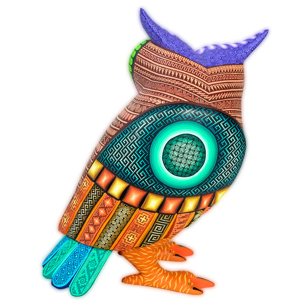 Jose Calvo & Magaly Fuentes: Spectacular Great Horned Owl