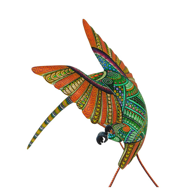 Marvelous Spatuletail Oaxacan woodcarving