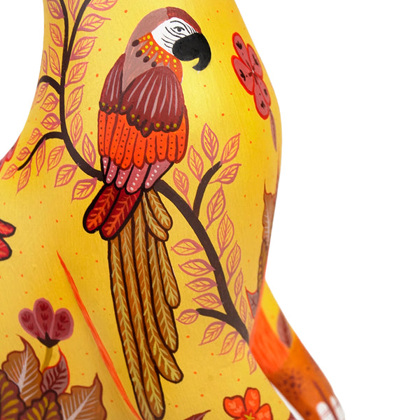 Michelle Fuentes: Macaws Rabbit Oaxaca