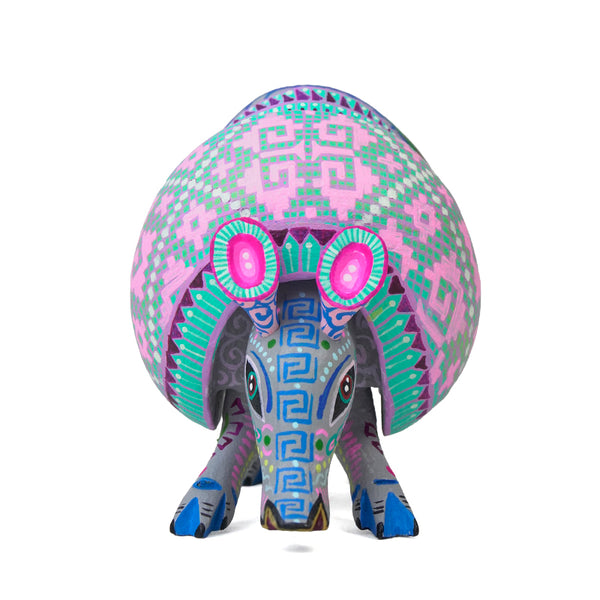 Michelle Luna: Pastel Dream Little Armadillo