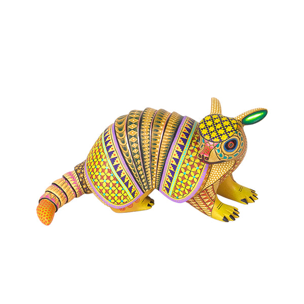 Neri & Soledad Cruz: Beautiful Baby Armadillo