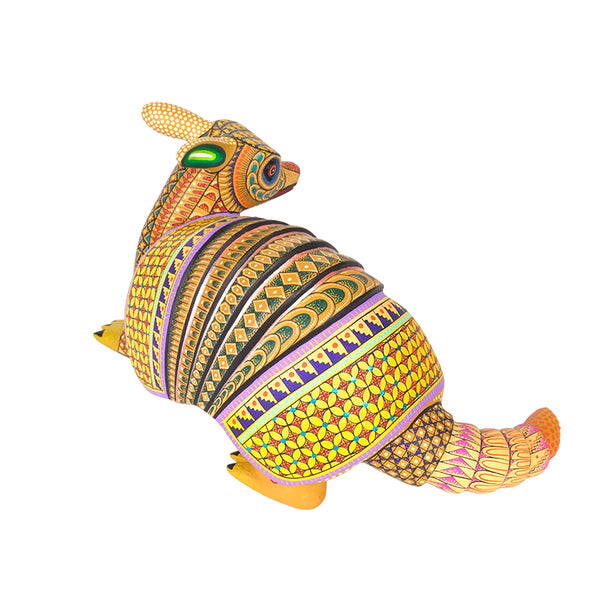 Neri & Soledad Cruz: Beautiful Baby Armadillo