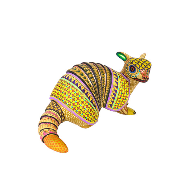 Neri & Soledad Cruz: Beautiful Baby Armadillo