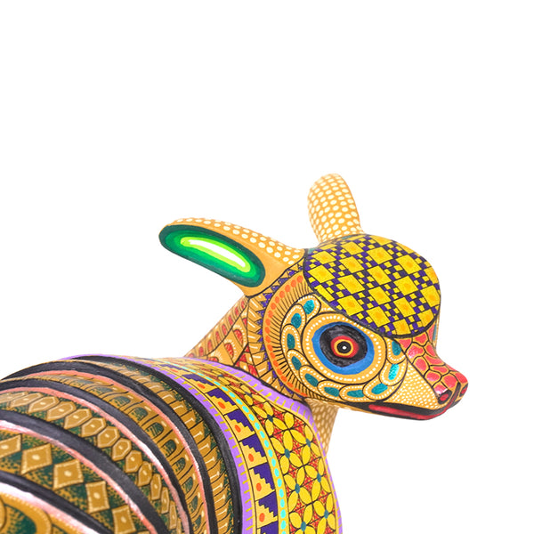 Neri & Soledad Cruz: Beautiful Baby Armadillo