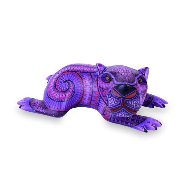 Nicolas Morales: Baby Capybara Oaxaca