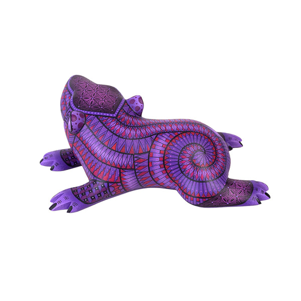 Nicolas Morales: Baby Capybara Oaxaca