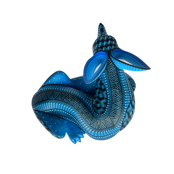 Nicolas Morales: Little Midnight Fox Oaxaca