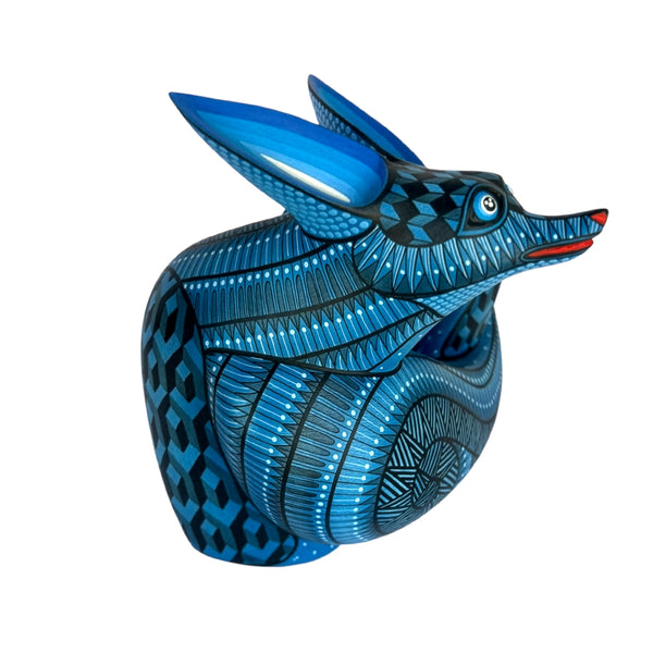 Nicolas Morales: Little Midnight Fox Oaxaca