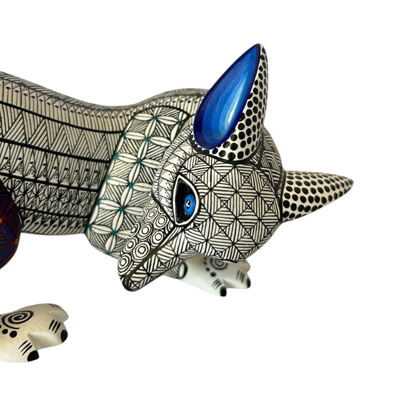 Nicolas Morales: Moonlight Fox Oaxaca