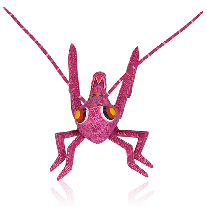 Pablo Lopez: Stunning Cricket Woodcarving