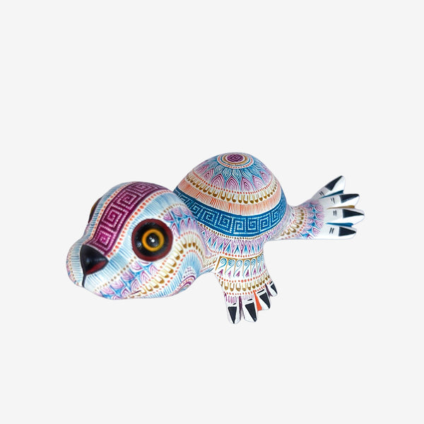 Rocio Fabian: Delightful Baby Seal