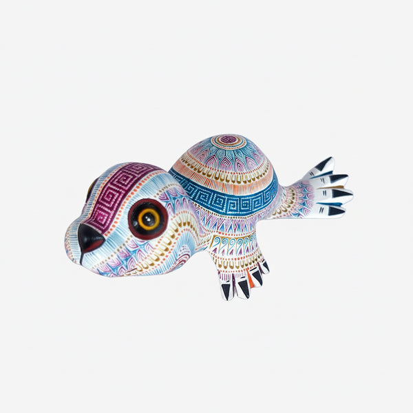 Rocio Fabian: Delightful Baby Seal