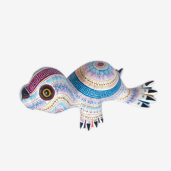 Rocio Fabian: Delightful Baby Seal
