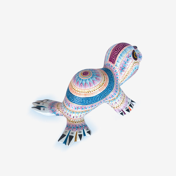 Rocio Fabian: Delightful Baby Seal