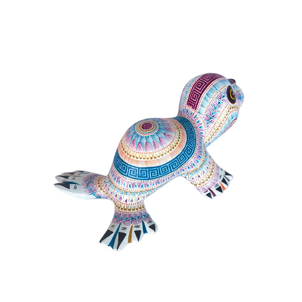 Rocio Fabian: Delightful Baby Seal