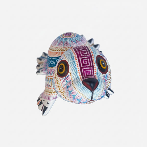 Rocio Fabian: Delightful Baby Seal